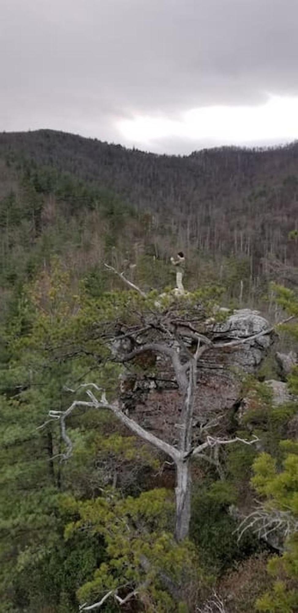 Bark House Heart Of Linville Falls Wspa Newland Eksteriør billede